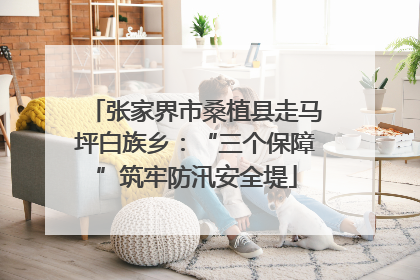 张家界市桑植县走马坪白族乡：“三个保障”筑牢防汛安全堤